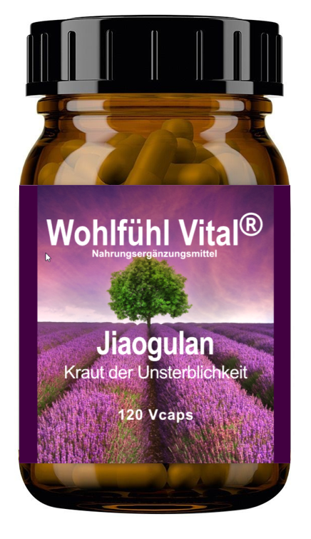 Jiaogulan, 120 Kapseln (vegan), von Wohlfühl Vital